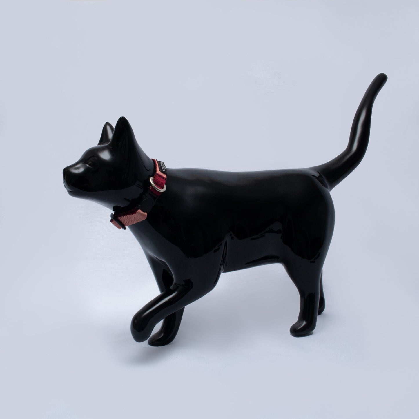 COLLAR GATO PIGGIE (1.5 cm)