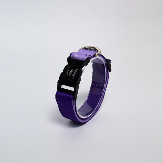 Collar básico GRAPE
