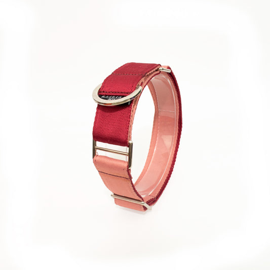 Collar martingale Piggie