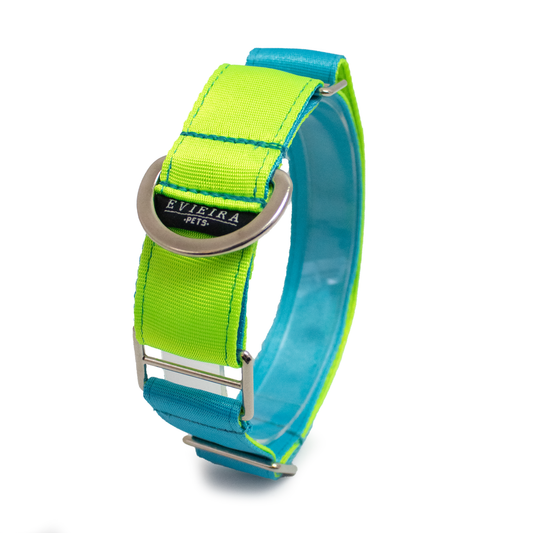 Collar martingale ACID