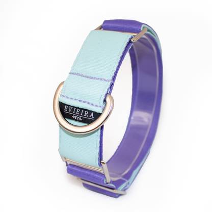 Collar martingale Bubble