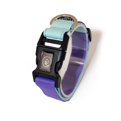 Collar básico BUBBLE