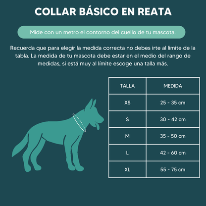 Collar básico Cloud