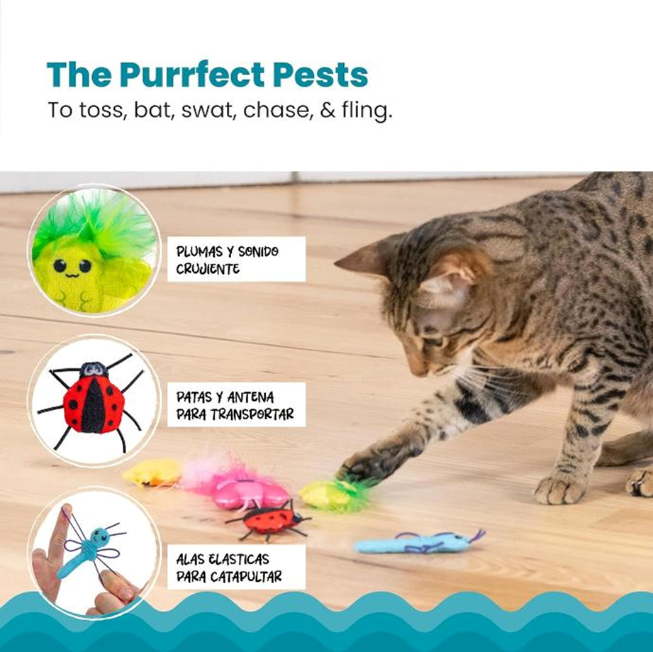 CATSTAGES GATO SELFCARE CUTE AS A BUG 6PK