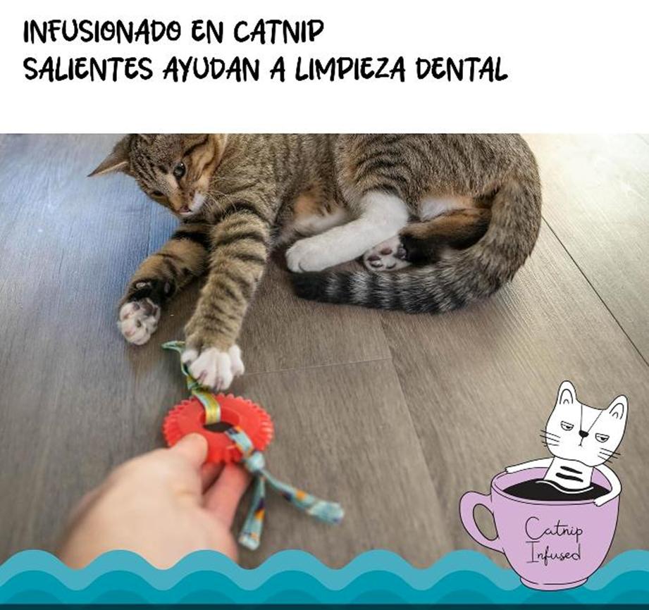 CATSTAGES GATO SELFCARE KITTY CHEW WHEEL