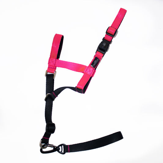 Halti PINKY