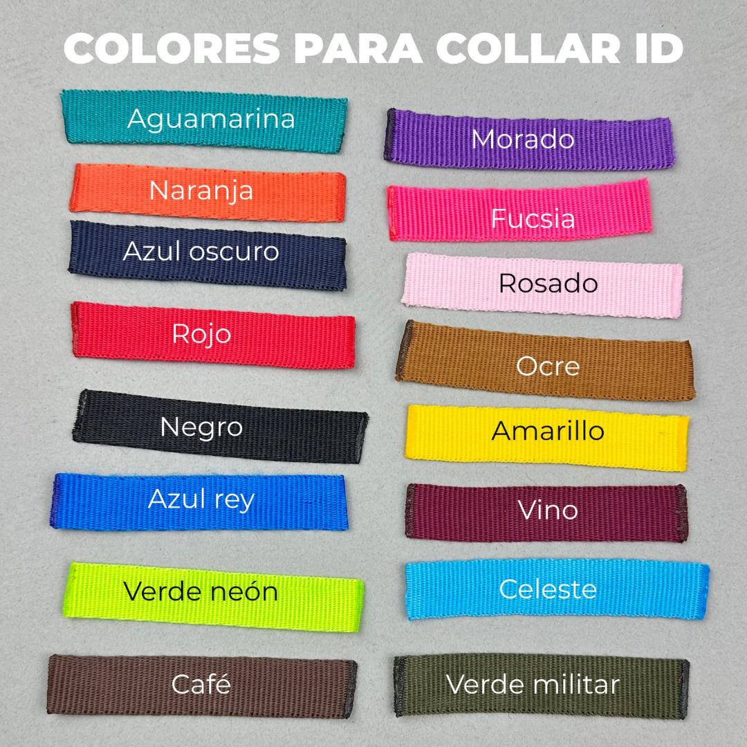 Collar de Identificación