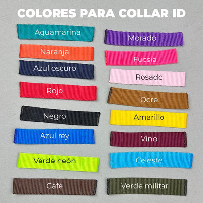 Collar de Identificación