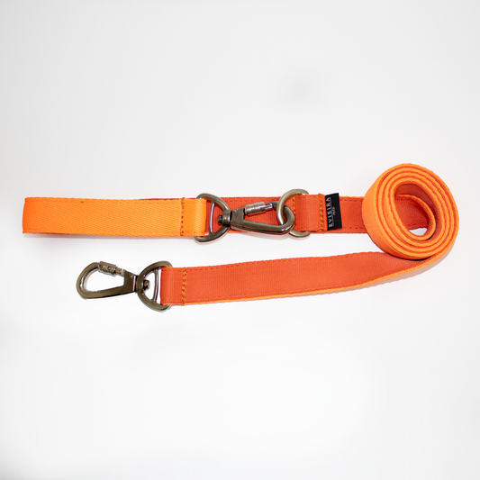 Traílla doble función Orange