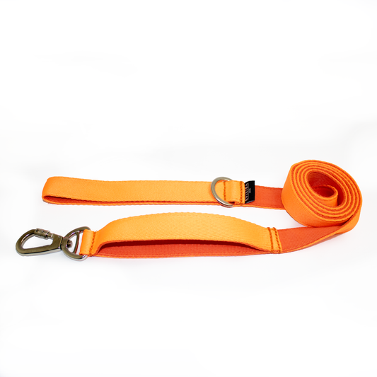 Traílla clásica Orange (1.5 m)