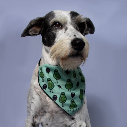 Bandana Avocado