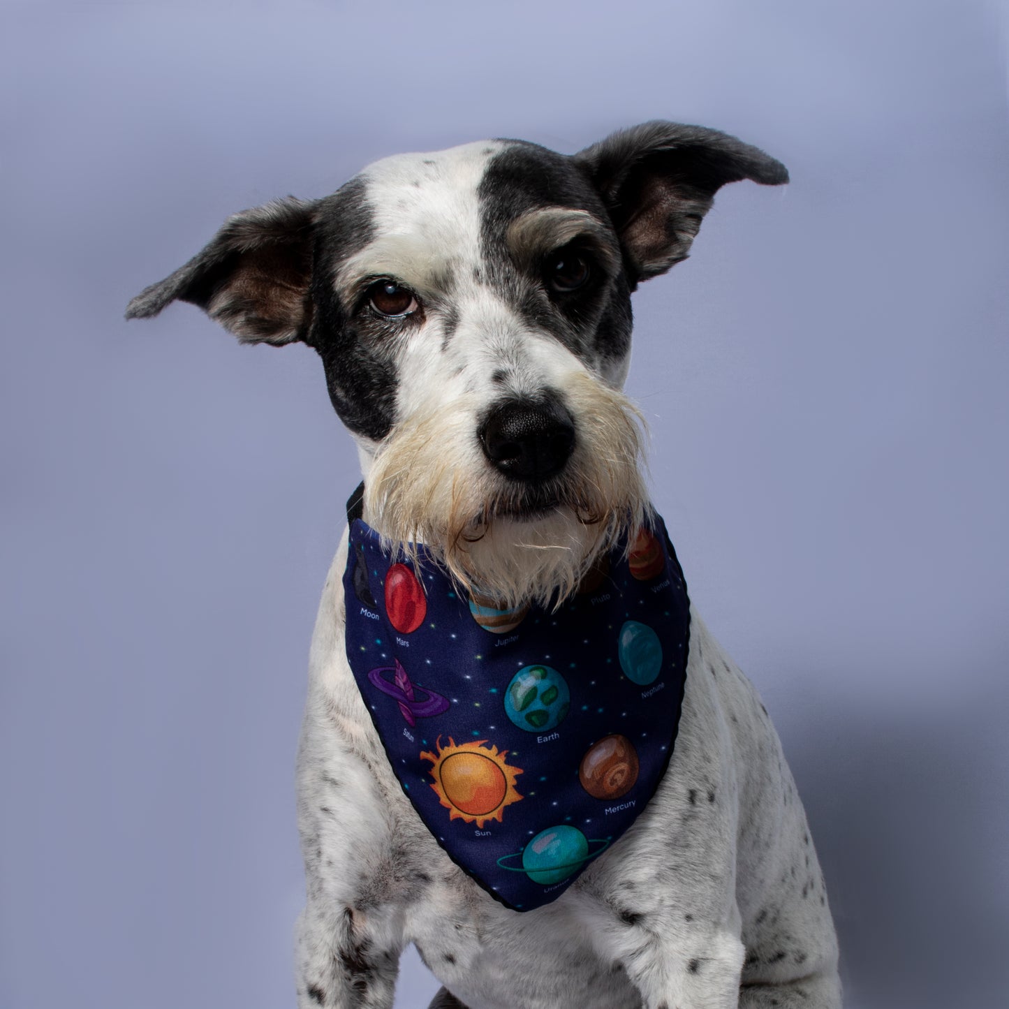 Bandana Space