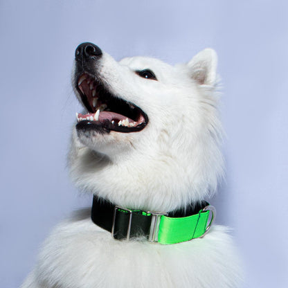 Collar martingale Soldier