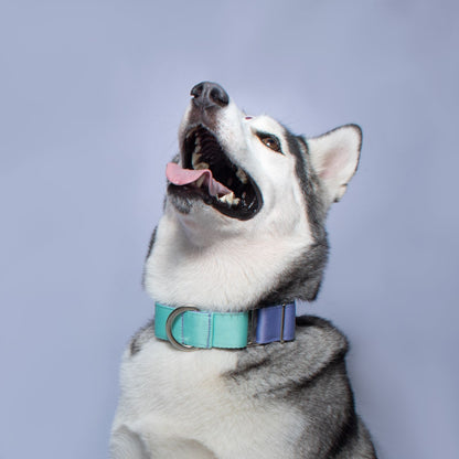 Collar martingale Bubble