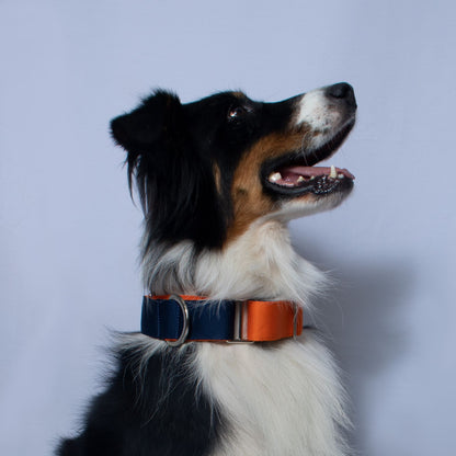 Collar martingale Complemento