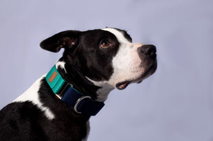 Collar martingale Navy