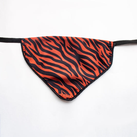 Bandana Print