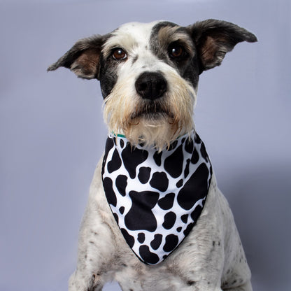 Bandana MUUU