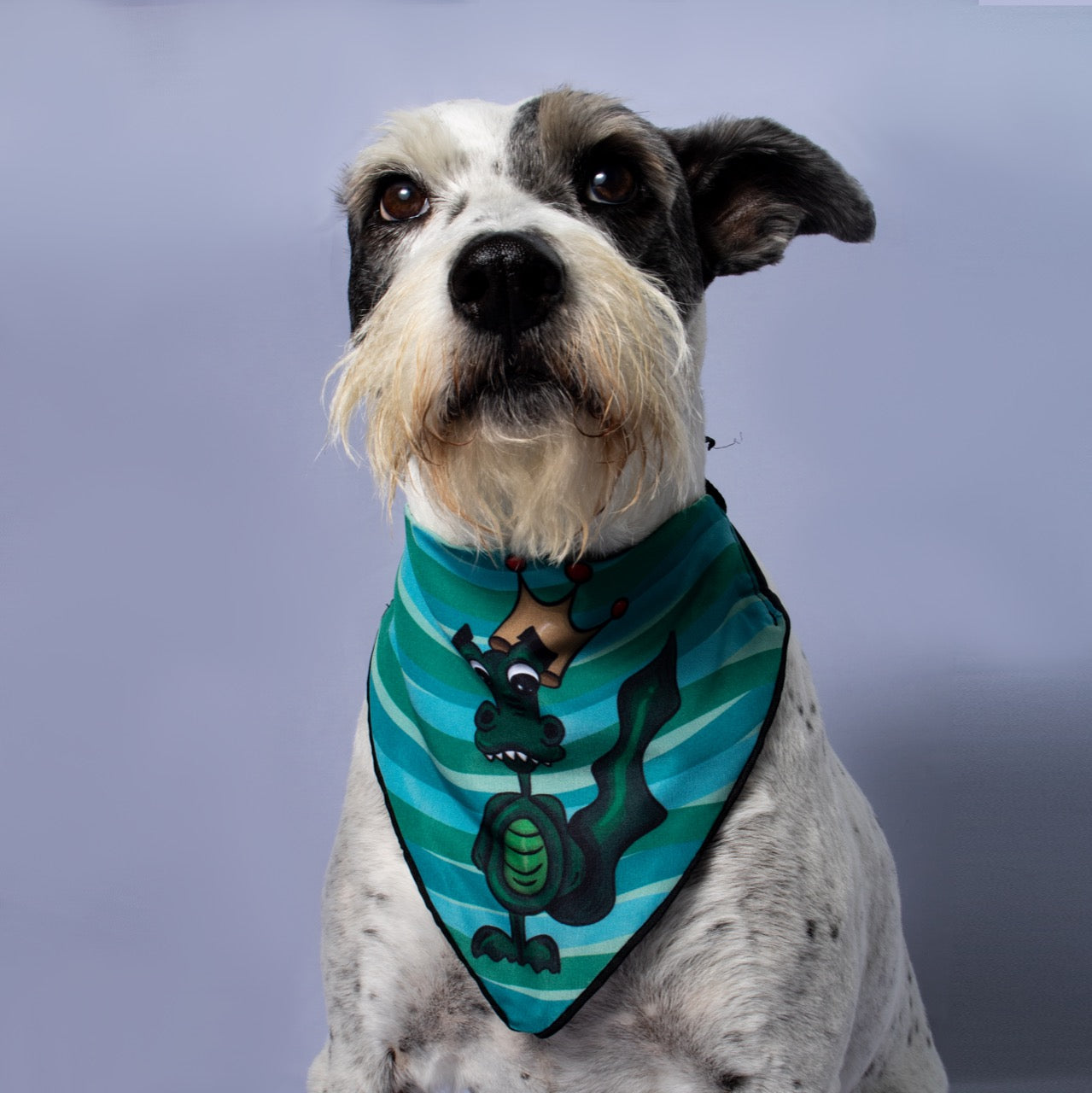 Bandana Dragon