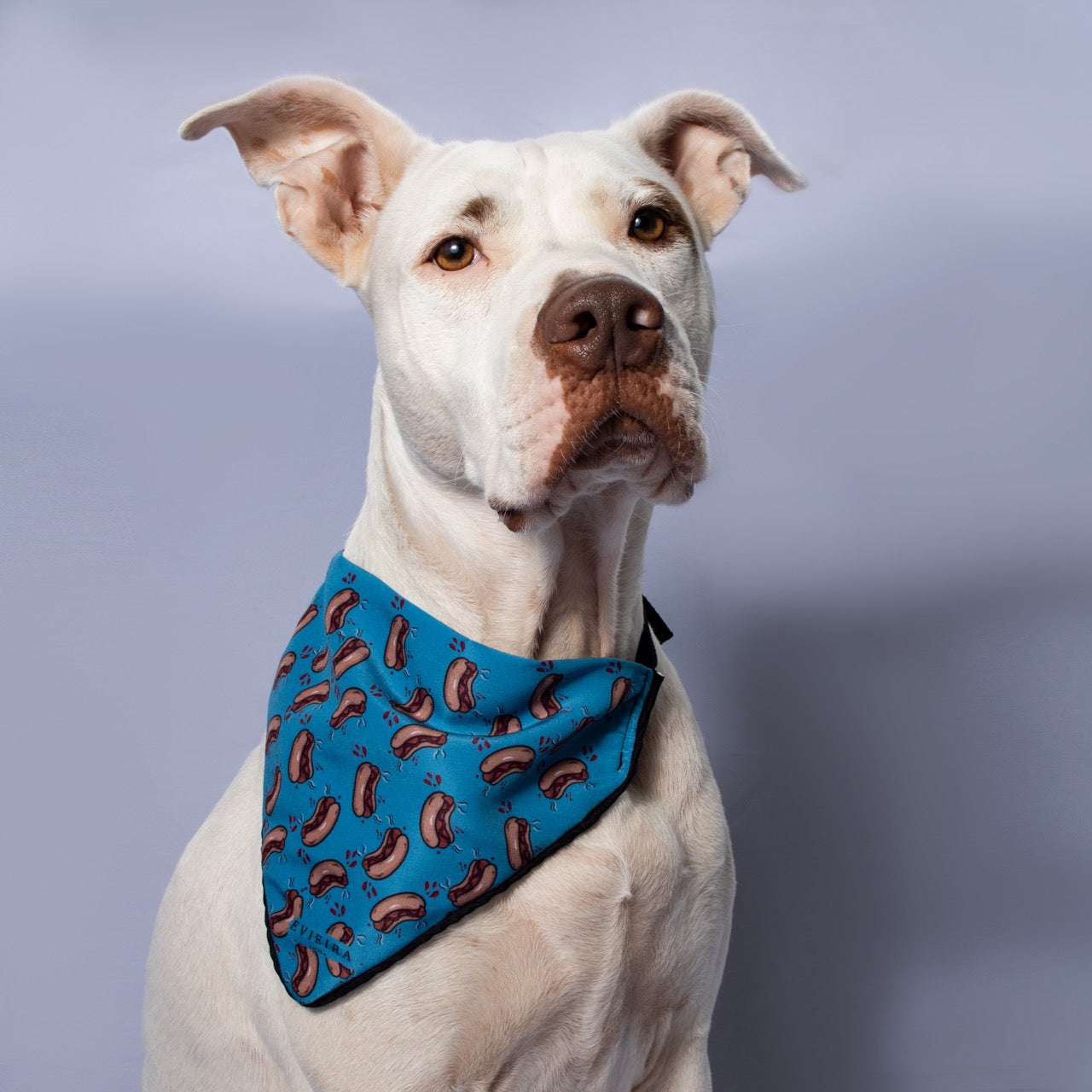 Bandana hot Dog