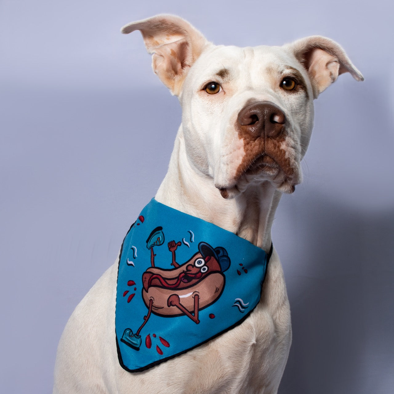 Bandana hot Dog