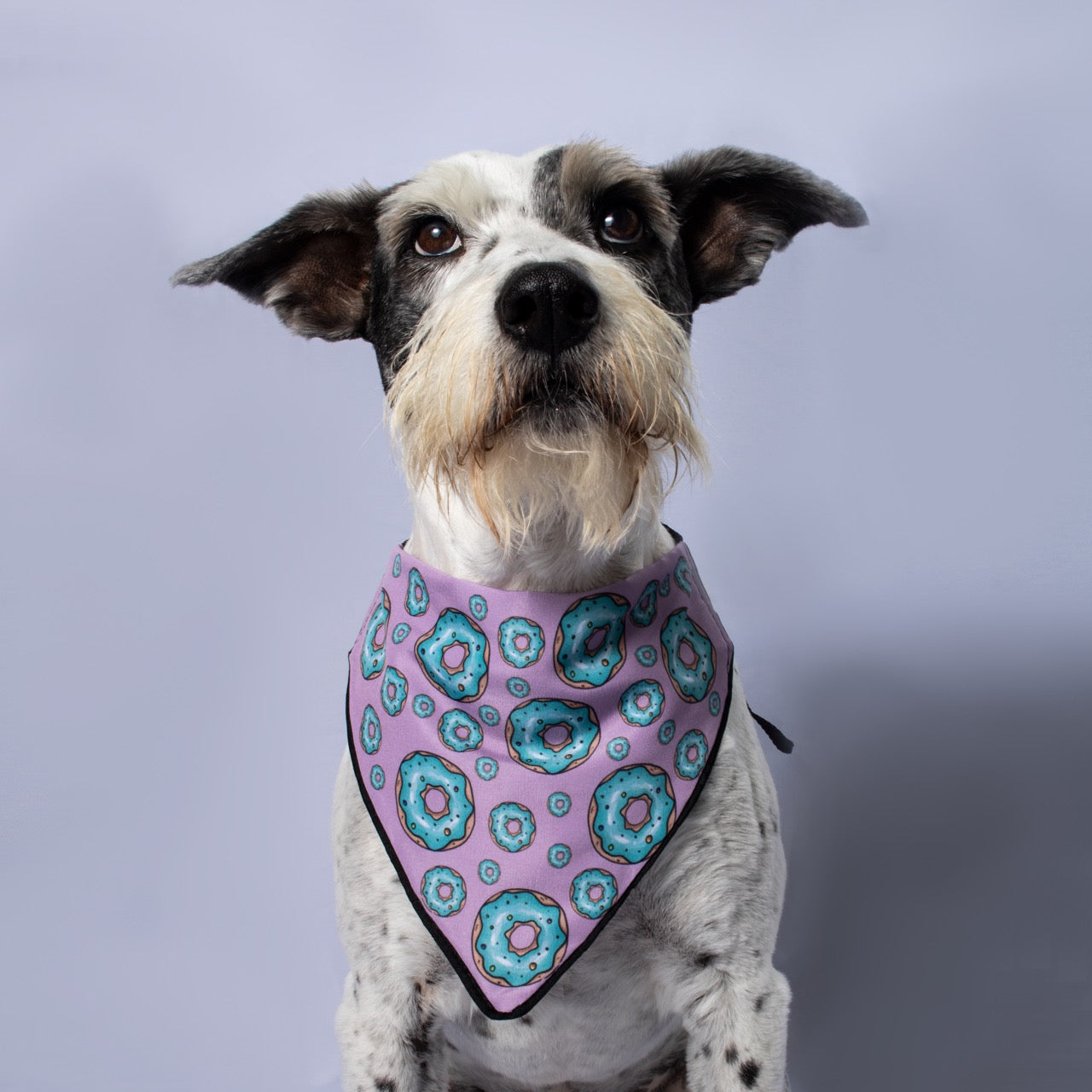 Bandana Cupcake